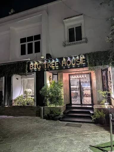 Big Tree House 