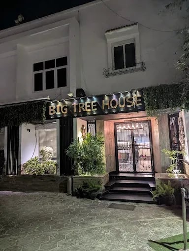 Big Tree House 