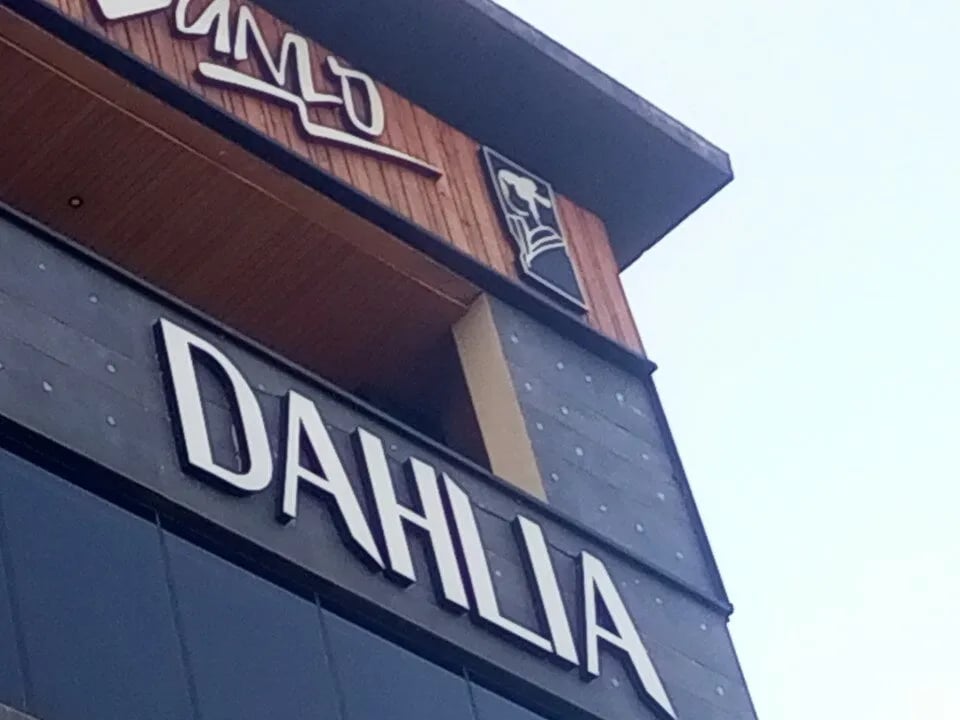DAHLIA