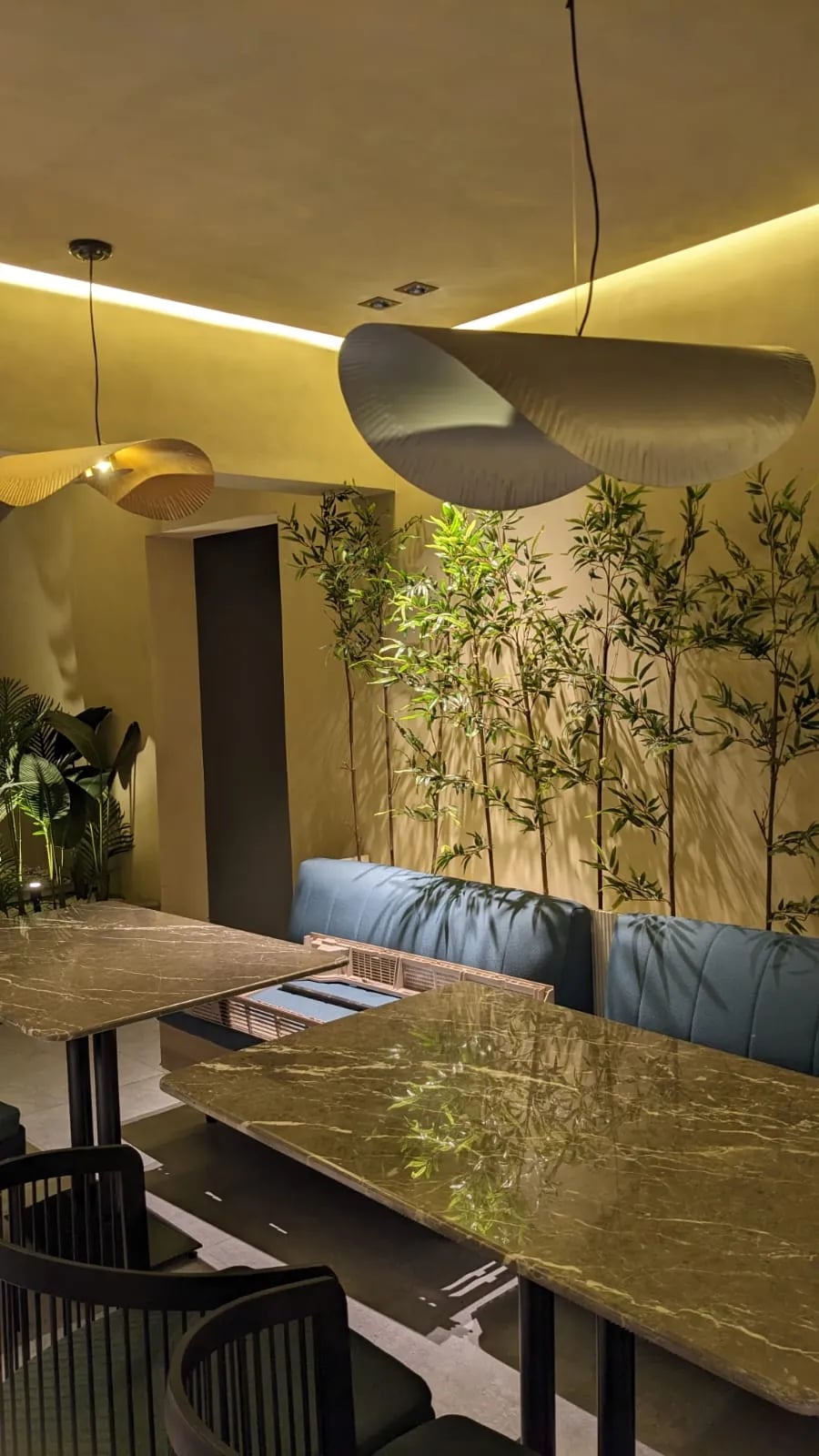 Vibes view of Terraza restaurant