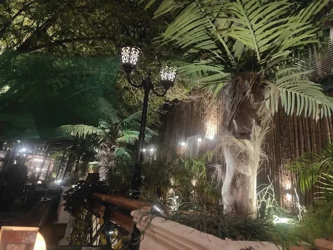 Vibes view of Big Tree House restaurant